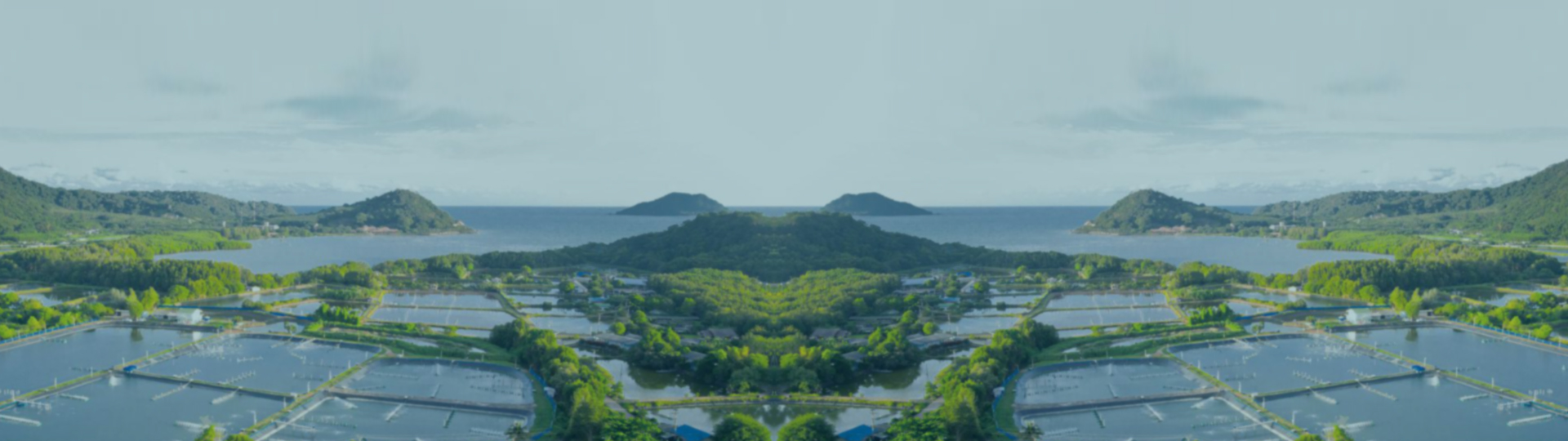 智慧水产养殖解决方案